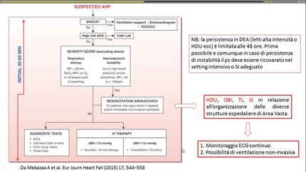 Qualità nelle cure per lo scompenso cardiaco.