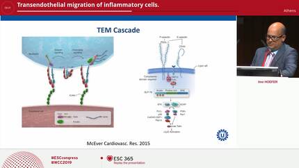 Presentation thumbnail
