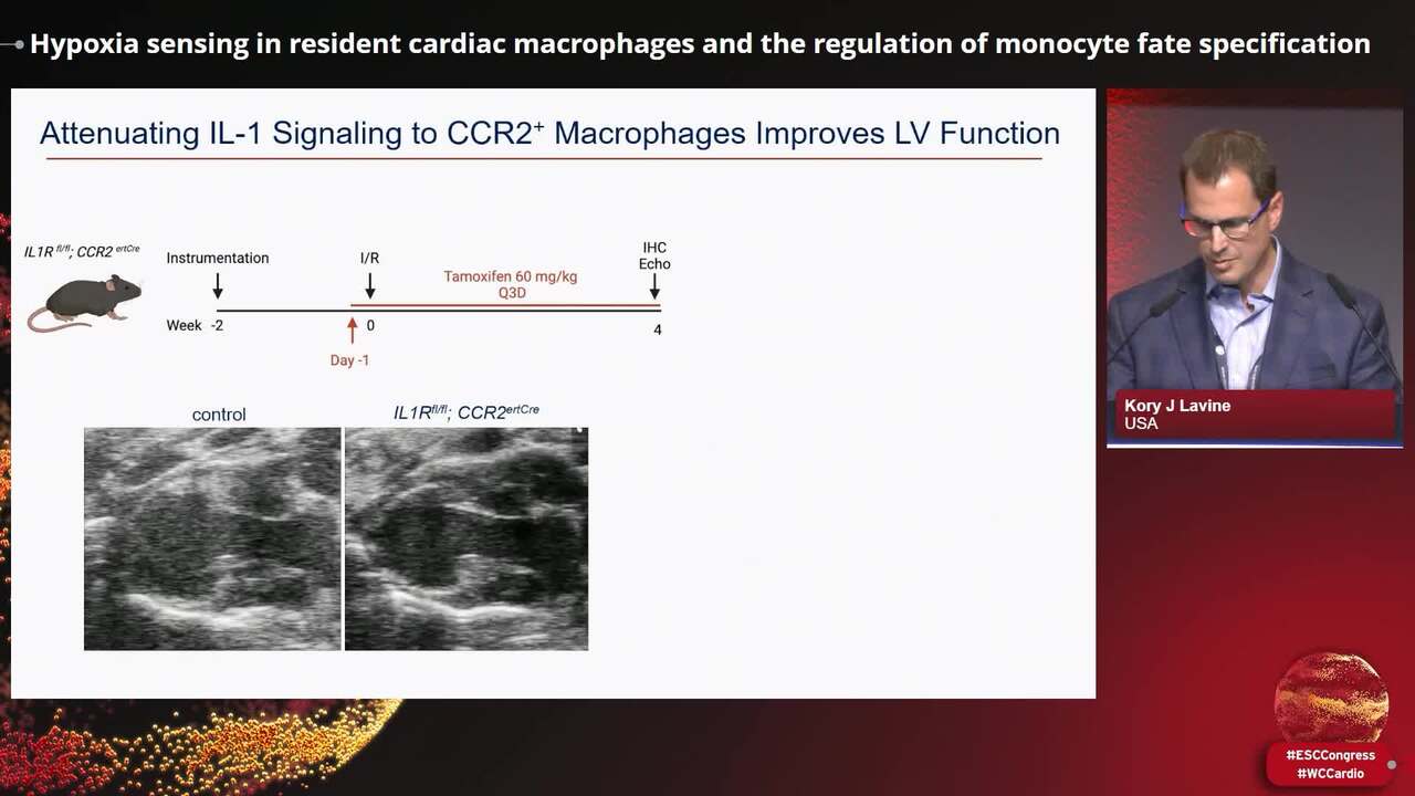 Cardiac macrophages: emerging roles in cardiac pathophysiology and repair