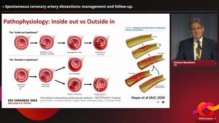 Presentation thumbnail