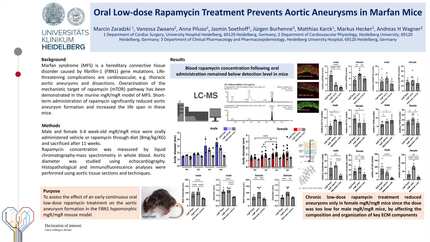 Presentation thumbnail