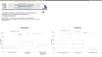 Presentation thumbnail