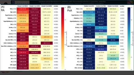 The risk of incident atrial fibrillation in patients with inflammatory arthritis: a hierarchical clustering approach from the Hong Kong Hospital Authority Data Collaboration Laboratory (HADCL)