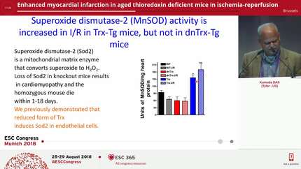 Enhanced myocardial infarction in aged thioredoxin  deficient mice in ischemia-reperfusion