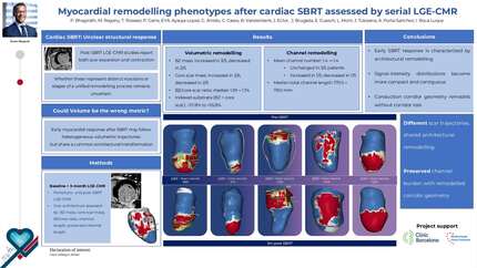 Myocardial remodelling phenotypes after cardiac stereotactic body radiotherapy assessed by serial late-gadolinium enhanced cardiac MRI