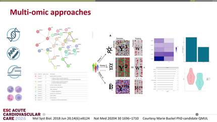 Presentation thumbnail