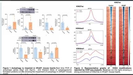 Presentation thumbnail