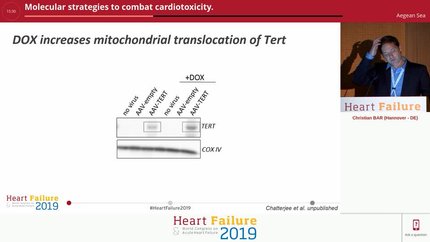 Presentation thumbnail