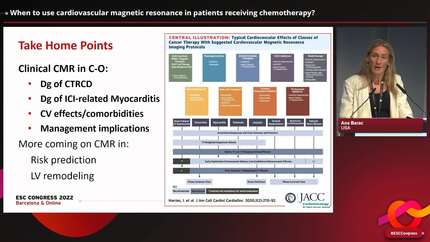 Meet the Experts: use of multimodality imaging to evaluate cardiotoxicity: when and how?
