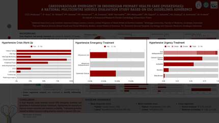 Presentation thumbnail