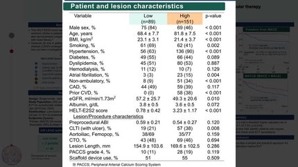 Preprocedural HELT-E2S2 scoring identifies high cardiovascular risk after endovascular therapy in patients with lower extremity artery disease