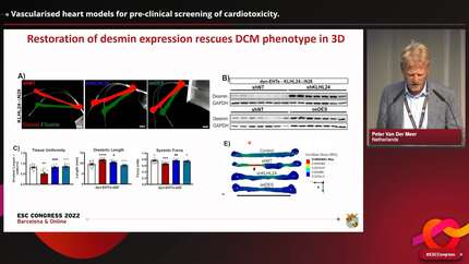 Presentation thumbnail