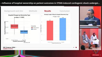 Influence of hospital ownership on patient outcomes in STEMI-induced cardiogenic shock undergoing revascularization: a retrospective cohort study