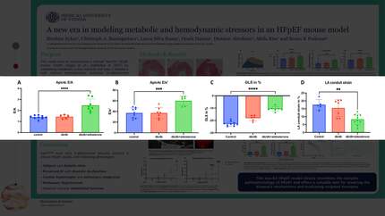 Presentation thumbnail