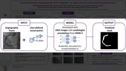 Presentation thumbnail
