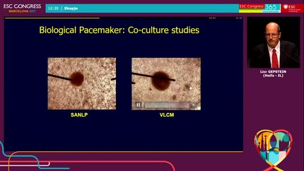 Presentation thumbnail