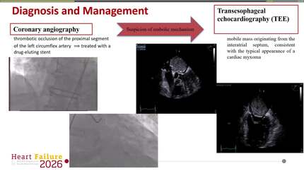 Presentation thumbnail