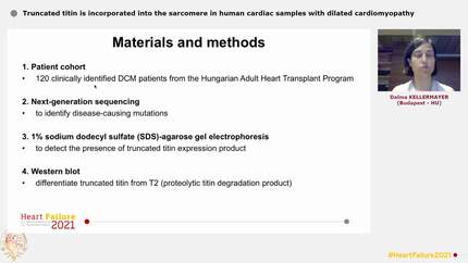 Presentation thumbnail