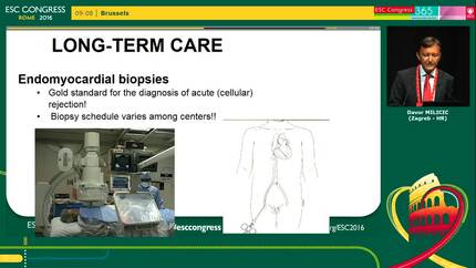 Presentation thumbnail