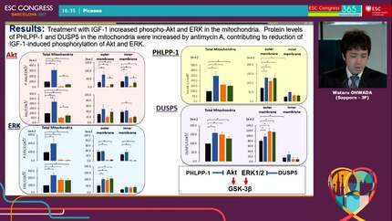 Presentation thumbnail