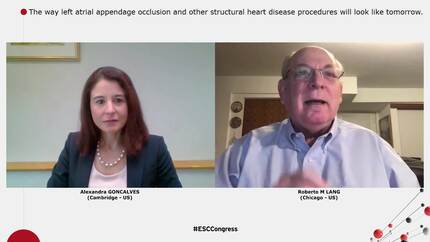 Pushing boundaries of cardiac visualization with an innovative echo toolkit.