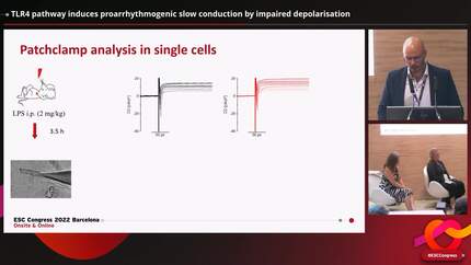 Presentation thumbnail