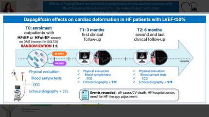Effects of Dapagliflozin on myocardial performance in non-diabetic patients with Heart failure with reduced and mid-range ejection fraction (DAPA ECHO trial)