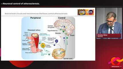 Presentation thumbnail
