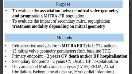 Prognostic impact of mitral valve geometry in patients with secondary mitral regurgitation: a secondary analysis of the MITRA-FR trial