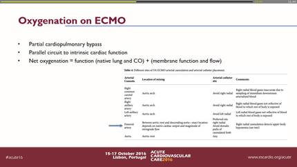 Presentation thumbnail