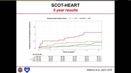Presentation thumbnail