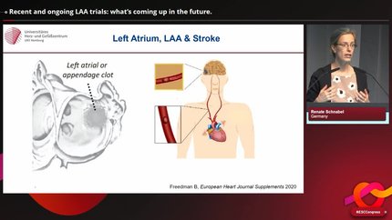 Left atrial appendage occlusion news: hot off the press