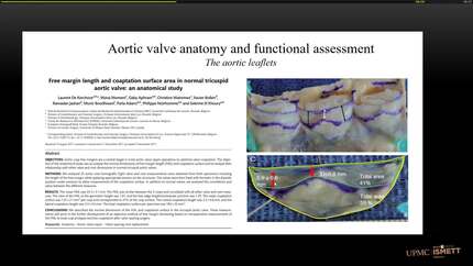 Presentation thumbnail