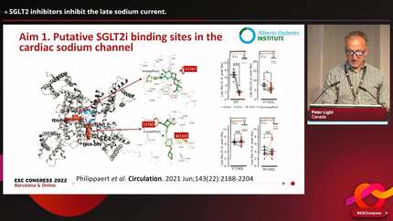 Presentation thumbnail