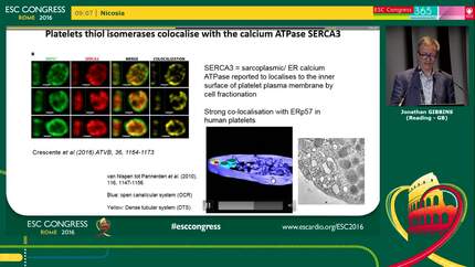 Presentation thumbnail