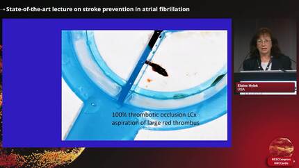 Presentation thumbnail