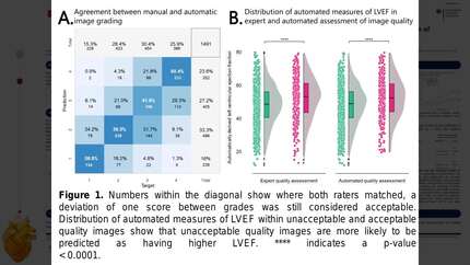 Presentation thumbnail