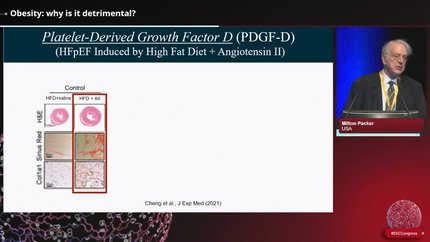 Presentation thumbnail