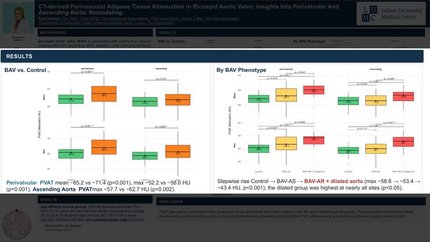 CT-derived perivascular adipose tissue attenuation in bicuspid aortic valve: insights into perivalvular and ascending aortic remodeling