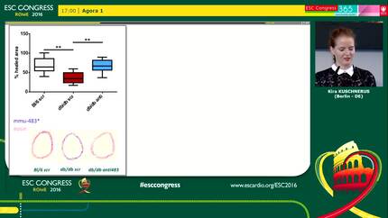 Presentation thumbnail