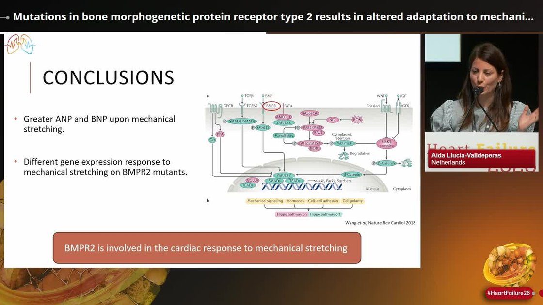 ESC 365 - Mutations in bone morphogenetic protein receptor type 2 ...