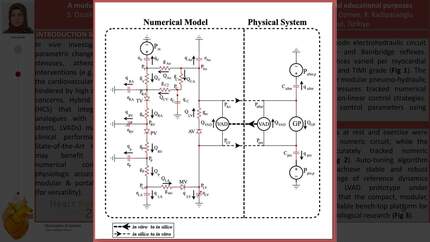 Presentation thumbnail