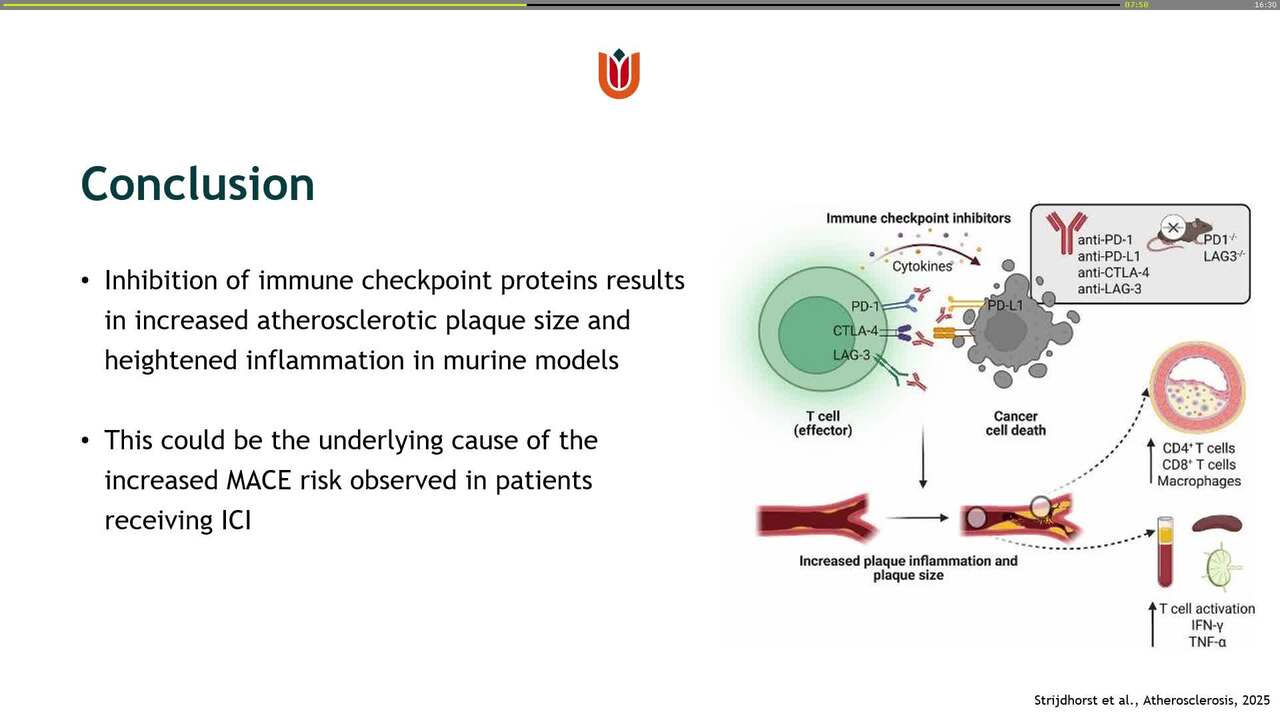Accelerated atherosclerosis associated with immune checkpoint inhibitors: a systematic review and meta-analysis of pre-clinical studies