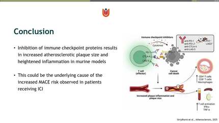 Presentation thumbnail