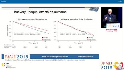 Presentation thumbnail