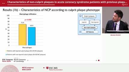 Characteristics of non-culprit plaques in acute coronary syndrome patients with previous plaque disruption at the culprit lesion