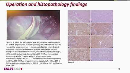 Presentation thumbnail