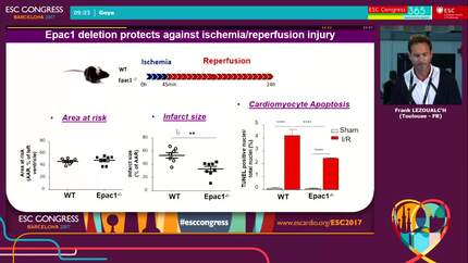 Presentation thumbnail