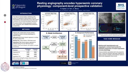 Resting angiography encodes hyperaemic coronary physiology:  component-level prospective validation