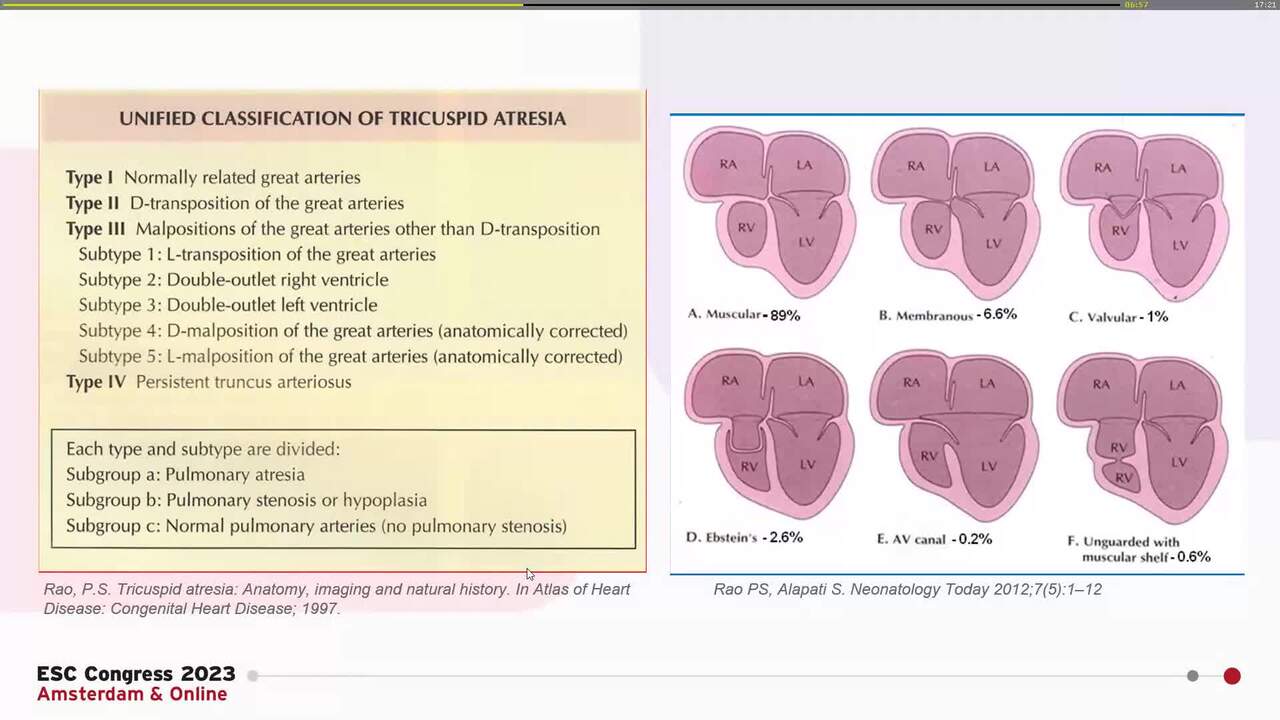 Presentation thumbnail